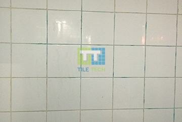 Epoxy Grout Bathroom – Tile Tech Solutions